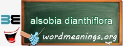 WordMeaning blackboard for alsobia dianthiflora